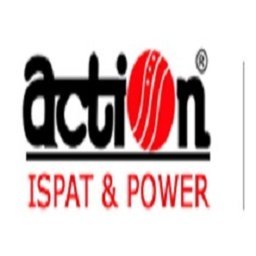 Action Ispat & Power Pvt Ltd logo