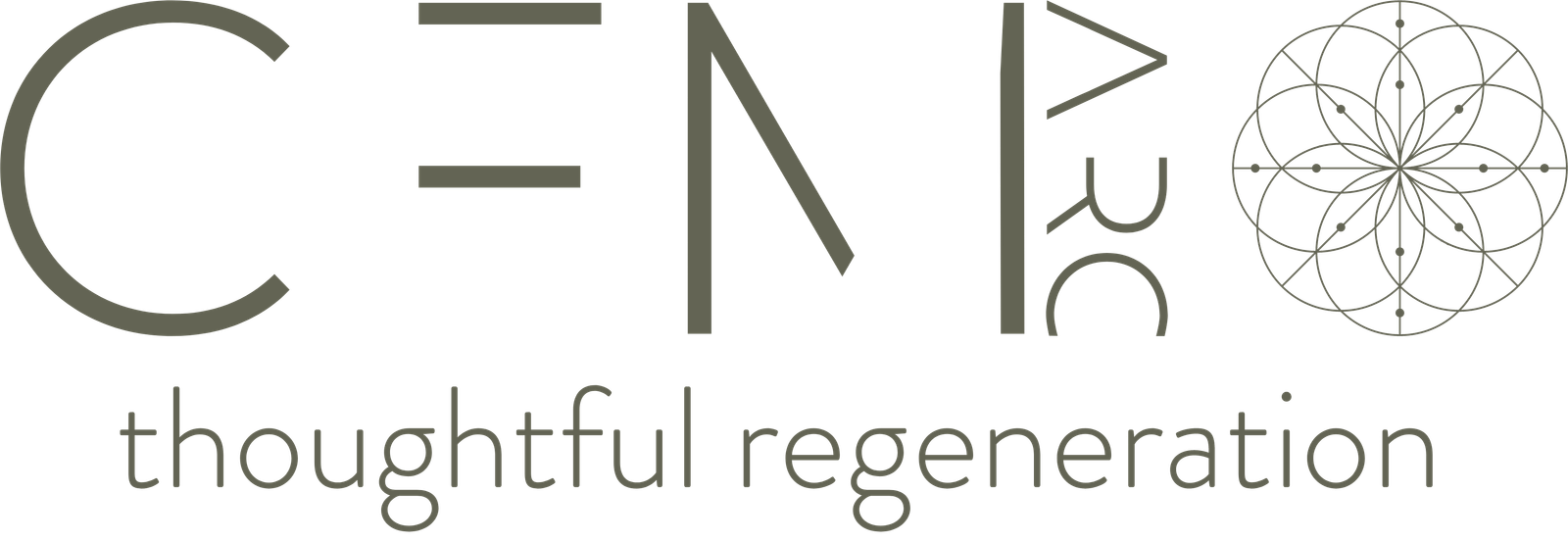 CFM Asset Reconstruction Ltd logo
